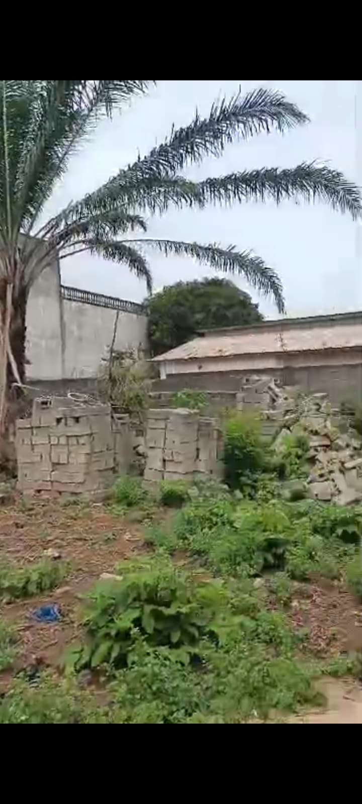 Parcelle clôturée à vendre à Calavi Parana près du carrefour à 17 M — photo 3