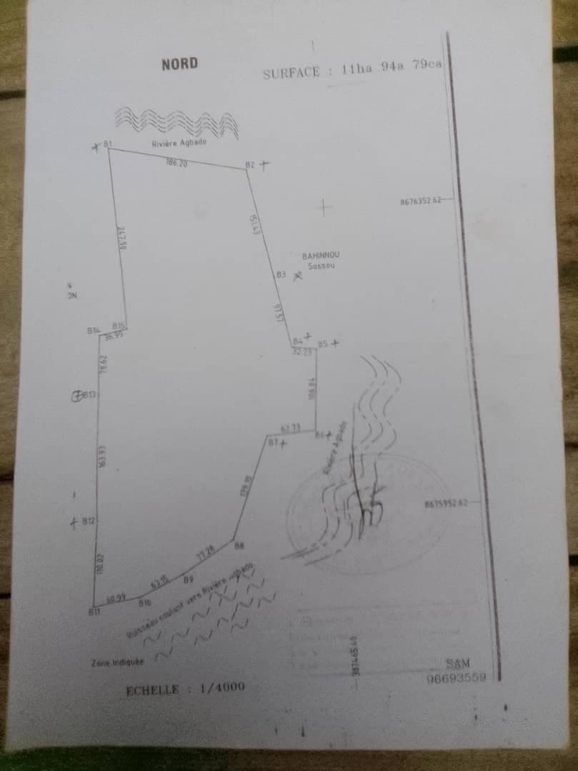 Vente des domaines disponible à savalou